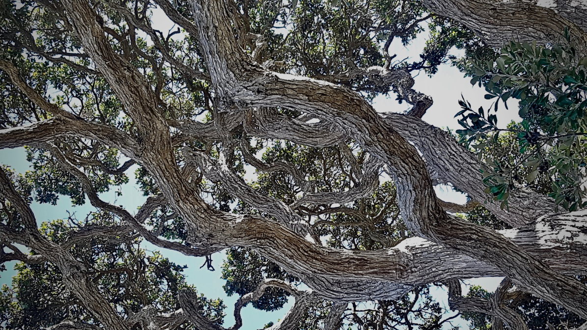 You are currently viewing 01-08 – The Crux of Time