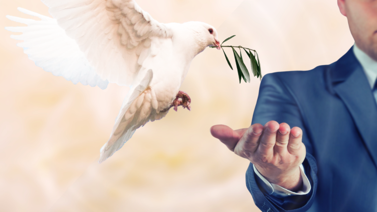 Read more about the article 03-00B –  The True Essence of Peace